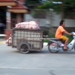 Schweinetransport in Chiang Rai  / Thailand